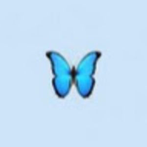 Meet your Posher, August